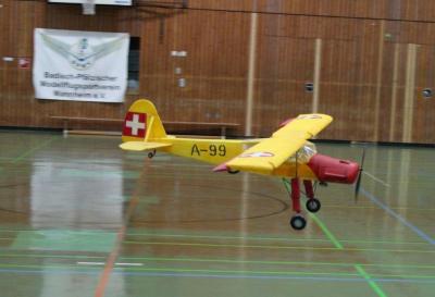 Saalflugtag 2017