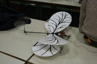 Bild 14